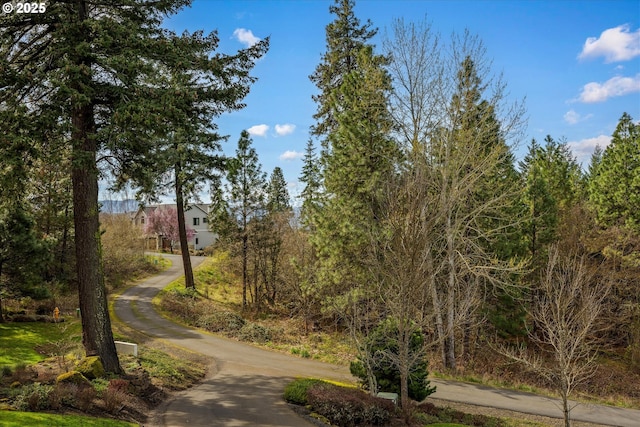 325 Rio Vista Dr, White Salmon, WA 98672 - view of home's community