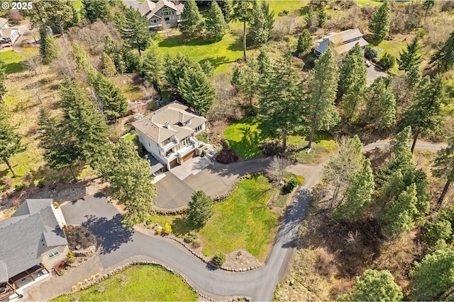 325 Rio Vista Dr, White Salmon, WA 98672 - aerial view