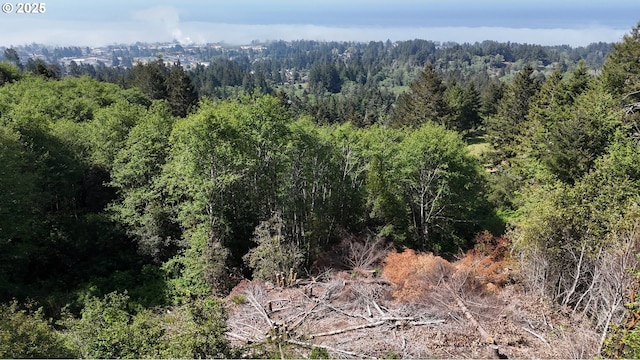 Eastwood, Brookings, OR 97415