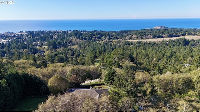 Eastwood, Brookings, OR 97415
