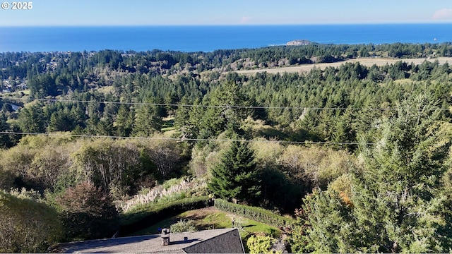 Eastwood, Brookings, OR 97415