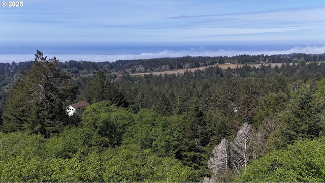 Eastwood, Brookings, OR 97415