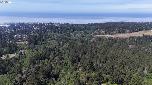 Eastwood, Brookings, OR 97415