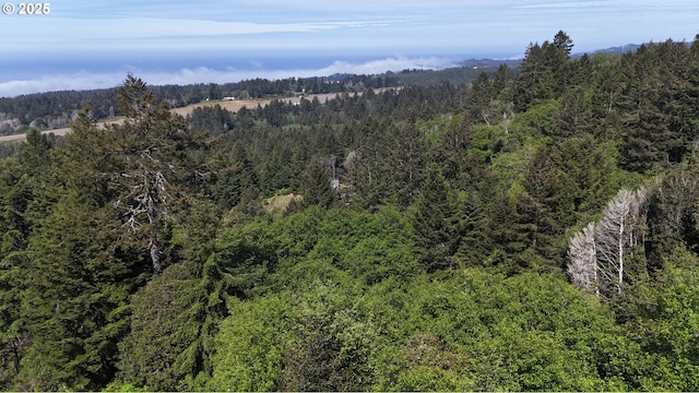 Eastwood, Brookings, OR 97415