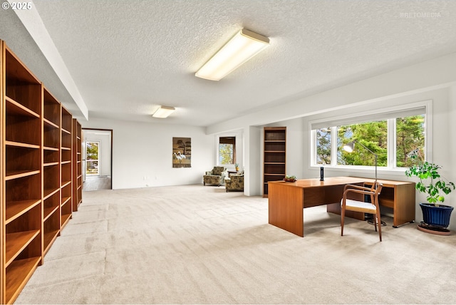 carpeted home office with a textured ceiling
