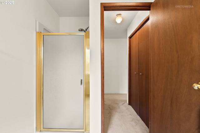 corridor with carpet floors