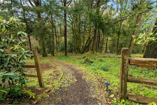 view of street featuring a forest view