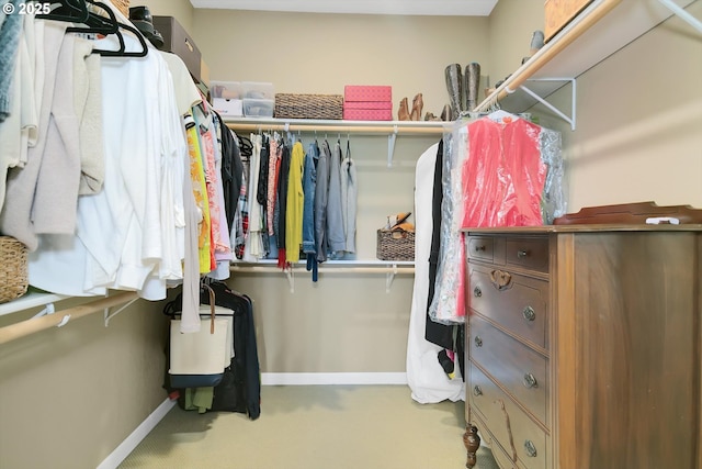 walk in closet featuring carpet floors