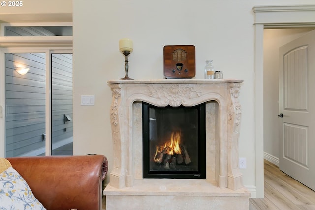 room details with wood finished floors and a fireplace