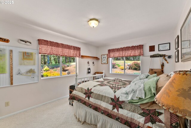 7654 N Bank Rd, Roseburg, OR 97470 - bedroom with carpet and baseboards