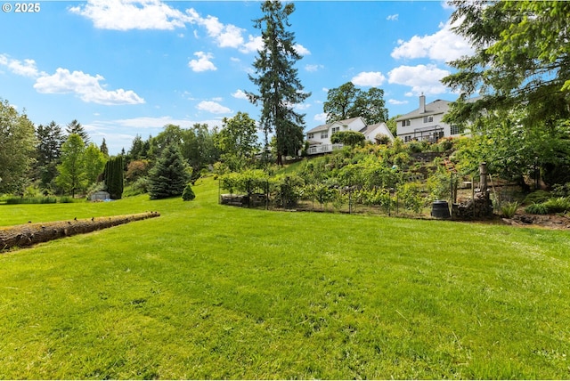 2136 N Thorne St, Newberg, OR 97132 - view of green lawn