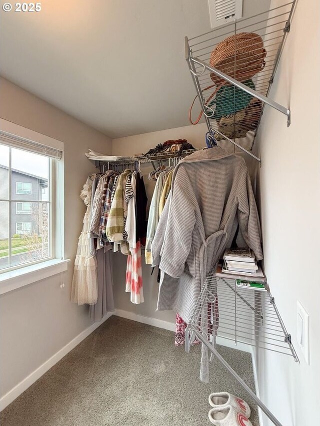 spacious closet featuring visible vents and carpet