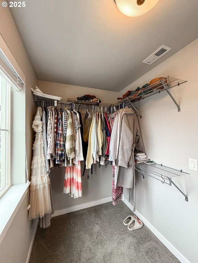 spacious closet featuring visible vents and carpet