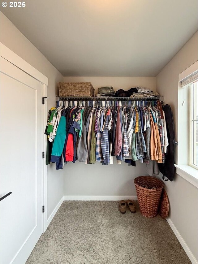 walk in closet featuring carpet floors