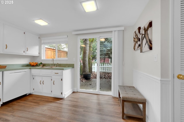 interior space featuring light wood-style floors, white cabinetry, dishwasher, and a sink