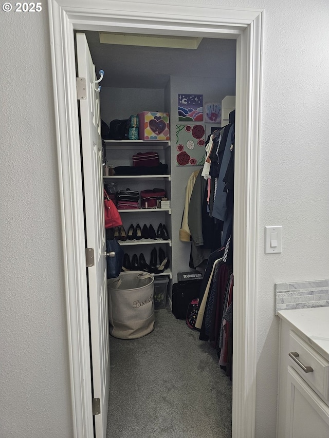spacious closet featuring carpet flooring