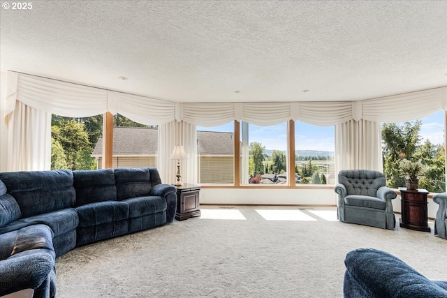 129 Cedar Falls Dr, Kelso, WA 98626 - living area featuring carpet floors and a textured ceiling