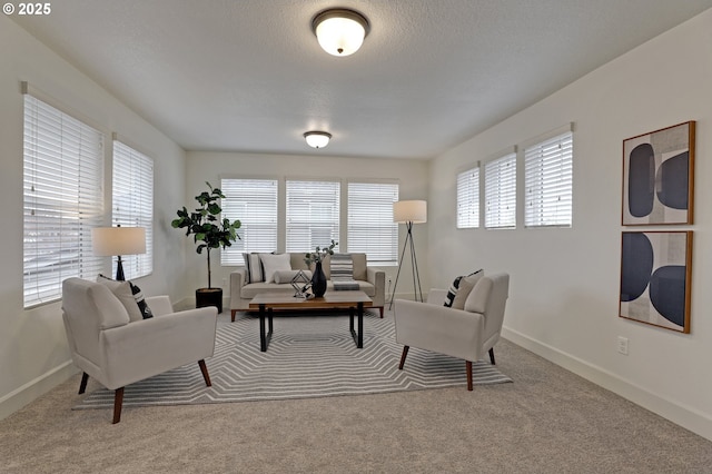 5316 SE Lone Oak St, Hillsboro, OR 97123 - living room with baseboards, carpet, and a textured ceiling