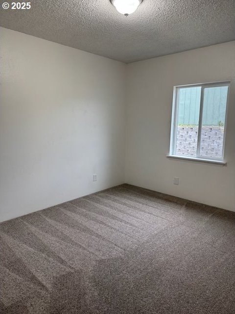 847 NE Jackson Ave, Myrtle Creek, OR 97457 - carpeted spare room with a textured ceiling