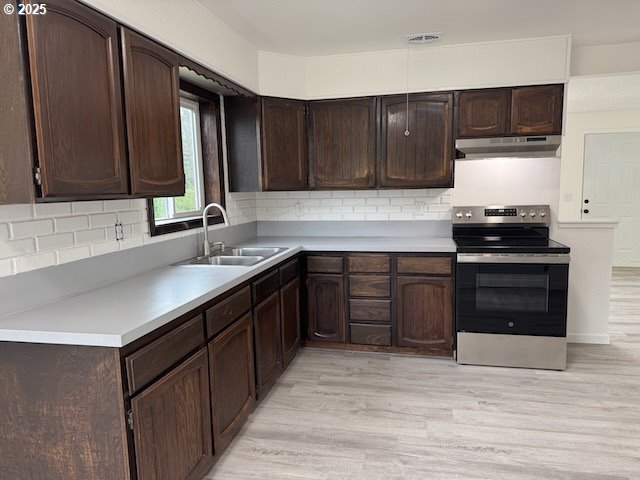 847 NE Jackson Ave, Myrtle Creek, OR 97457 - kitchen with stainless steel range with electric stovetop, under cabinet range hood, a sink, light wood-style flooring, and dark brown cabinets