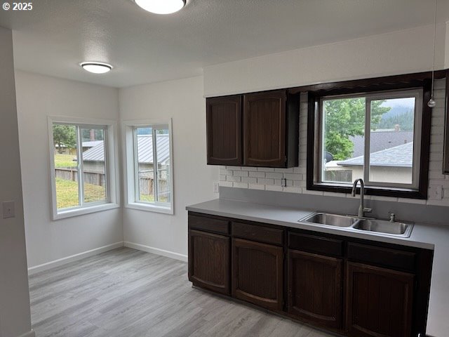 847 NE Jackson Ave, Myrtle Creek, OR 97457 - kitchen featuring a sink, plenty of natural light, light wood-style flooring, and dark brown cabinetry