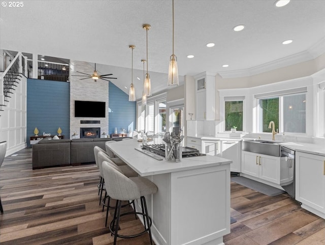 kitchen featuring appliances with stainless steel finishes, a fireplace, white cabinetry, sink, and dark wood-type flooring