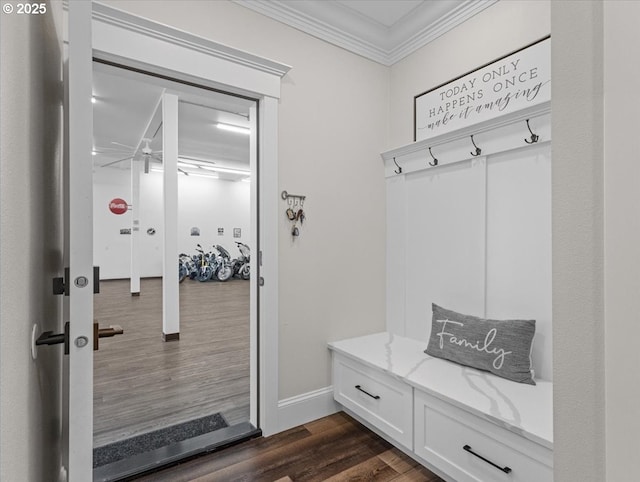 mudroom featuring crown molding and dark hardwood / wood-style floors