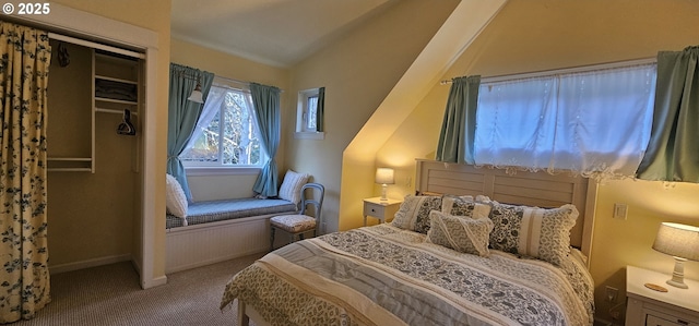 bedroom with lofted ceiling and carpet flooring