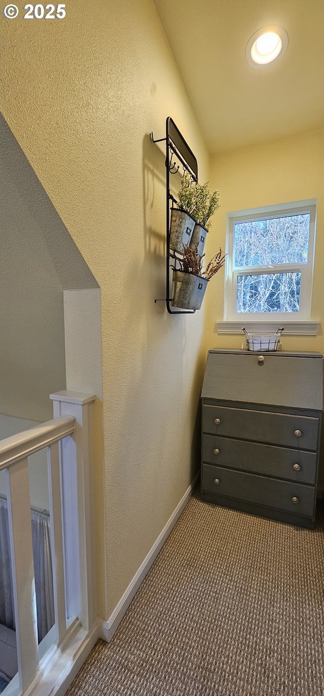 interior space featuring carpet floors