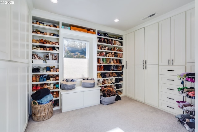 spacious closet with light colored carpet