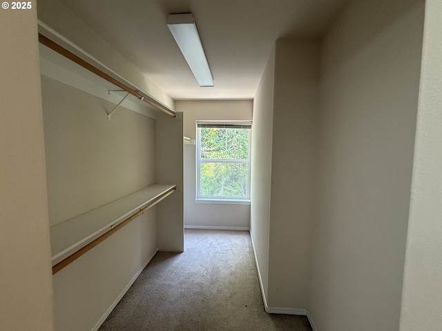 15680 SW Talus Way, Beaverton, OR 97007 - spacious closet with carpet flooring