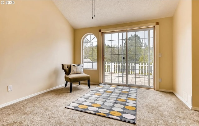 5706 SW Hamilton St, Portland, OR 97221 - living area featuring carpet flooring, a textured ceiling, and lofted ceiling
