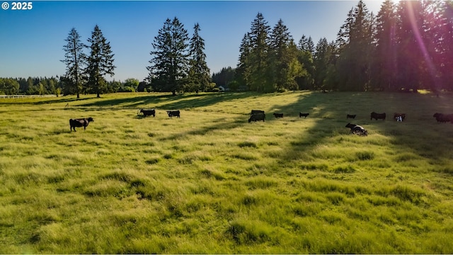 8408 NE 339th St, La Center, WA 98629 - view of yard featuring a view of rural / pastoral area