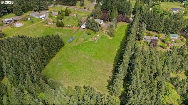 bird's eye view