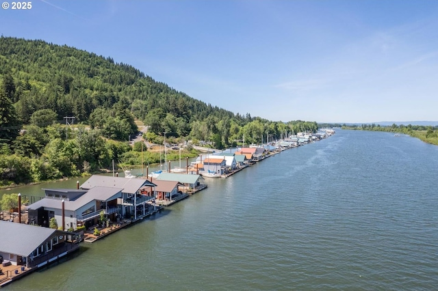 23586 NW St Helens Rd Unit U12, Portland, OR 97231 - water view with a forest and a dock