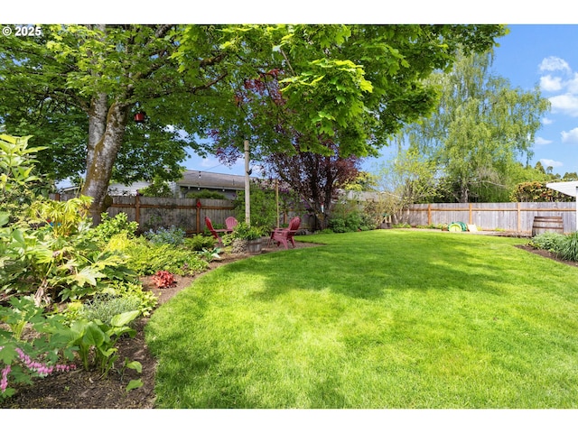 view of yard with a fenced backyard