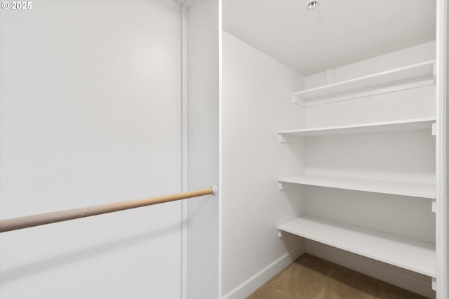 spacious closet with carpet flooring