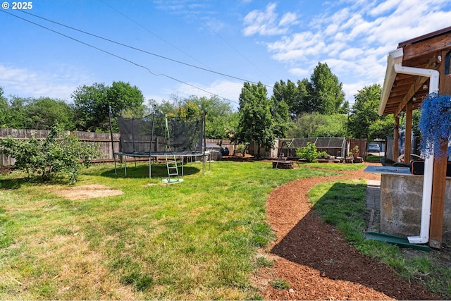 8015 NE 90th Ave, Vancouver, WA 98662 - view of yard featuring a trampoline and a garden