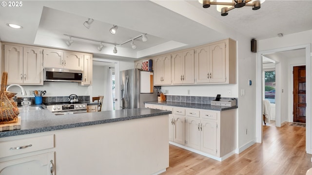 kitchen featuring light wood-type flooring, stainless steel appliances, a sink, and a raised ceiling