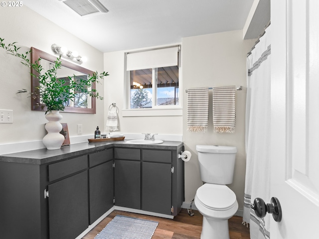 bathroom with vanity, wood-type flooring, and toilet