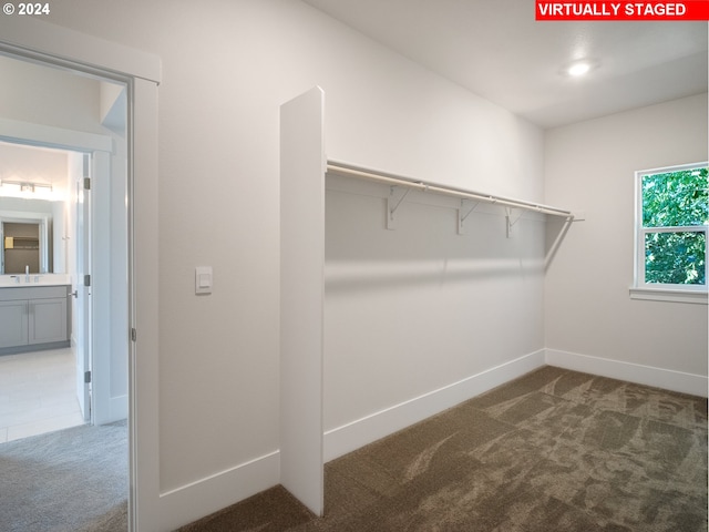13906 SW 165th Ave, Tigard, OR 97223 - walk in closet featuring dark carpet and a sink