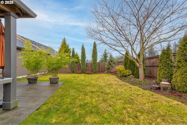 view of yard featuring a patio area