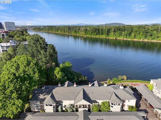 aerial view of a nearby body of water and a forest