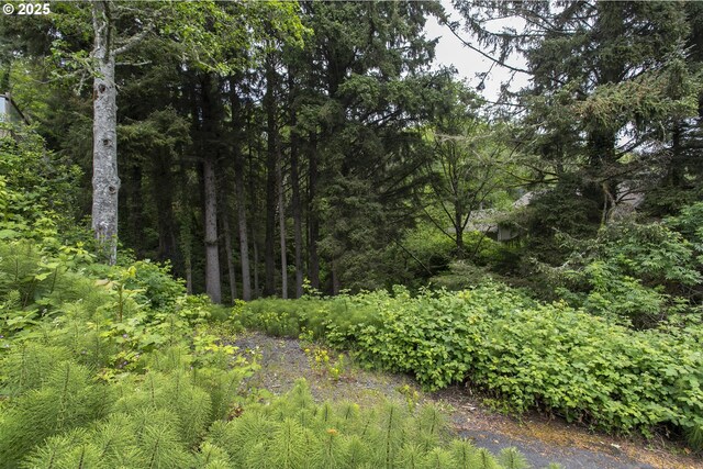 415 Chilkoot Trl, Cannon Beach, OR 97110