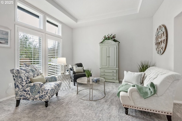 living area featuring carpet floors, baseboards, and a raised ceiling