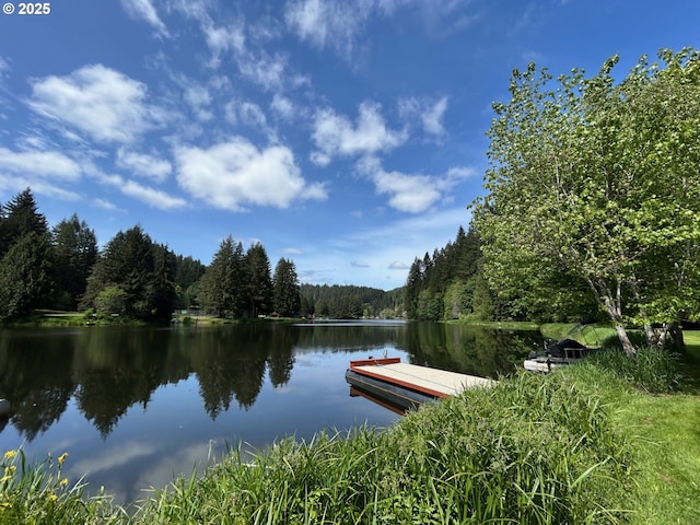 10056 Beach Dr, Birkenfeld, OR 97016 - dock area with a view of trees and a water view