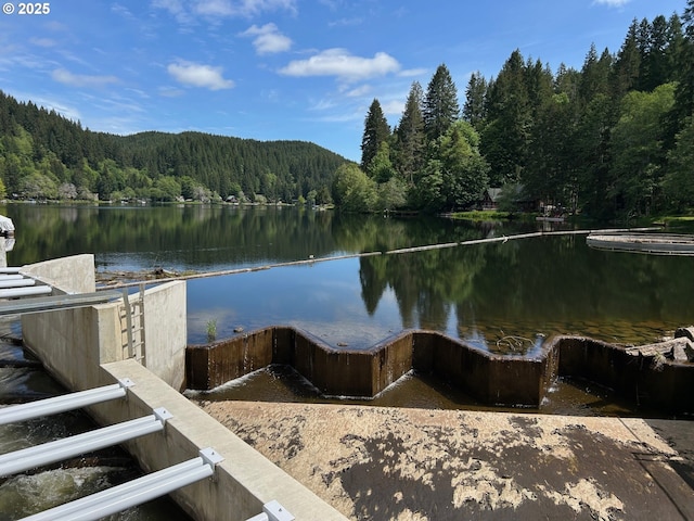10056 Beach Dr, Birkenfeld, OR 97016 - dock with a wooded view and a water view