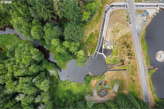 10056 Beach Dr, Birkenfeld, OR 97016 - view of property location