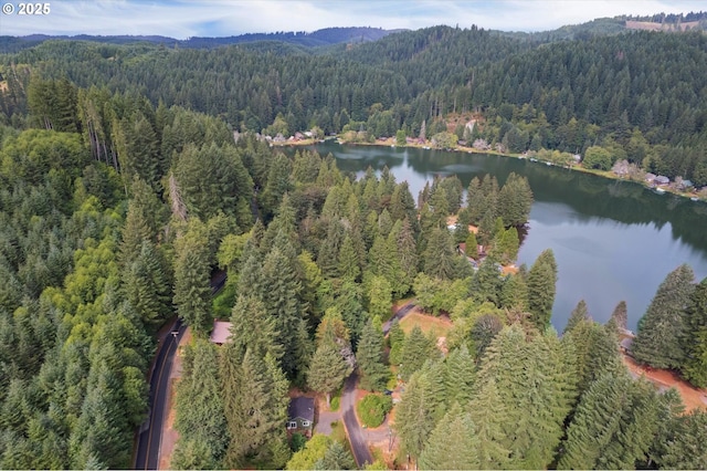 10056 Beach Dr, Birkenfeld, OR 97016 - aerial view of property and surrounding area featuring a forest and a water and mountain view