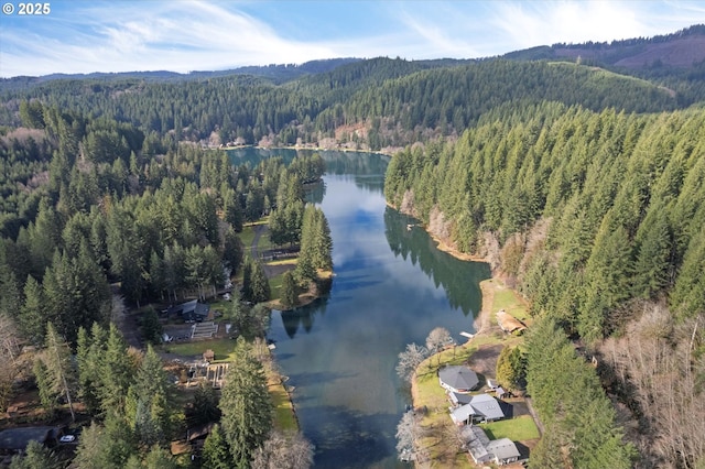 10056 Beach Dr, Birkenfeld, OR 97016 - aerial overview of property's location featuring a heavily wooded area and a water and mountain view